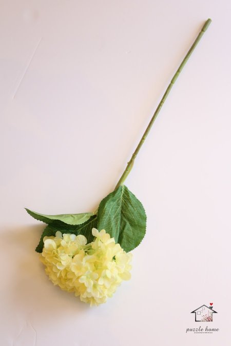 اصفر