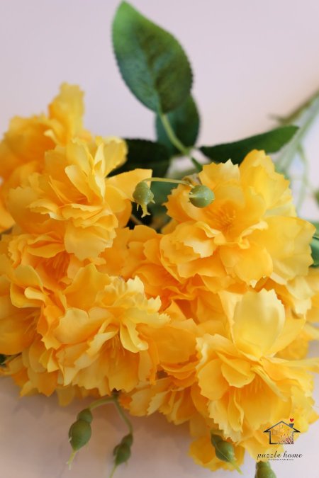 اصفر