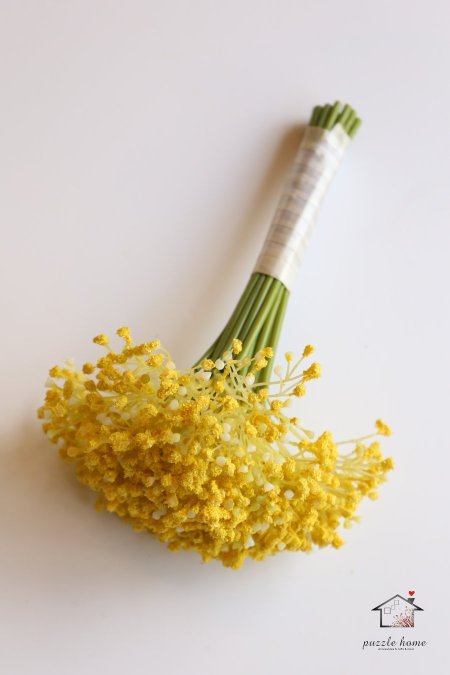 اصفر