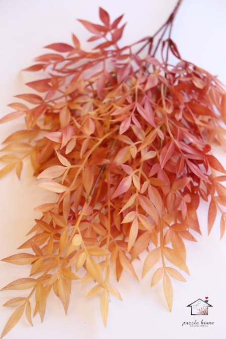 خمري مع برتقالي