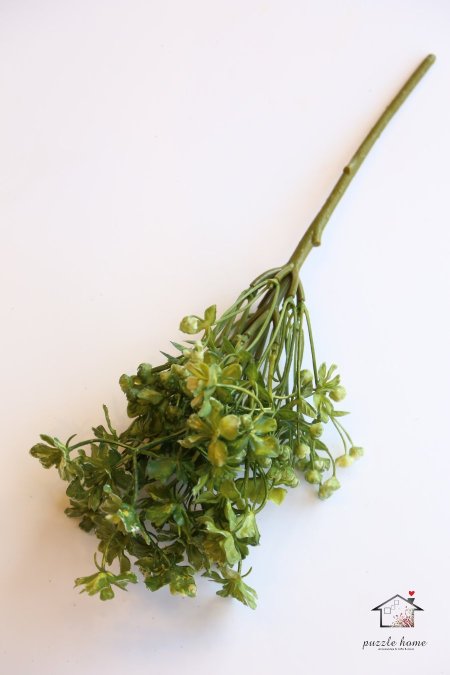 اخضر غامق